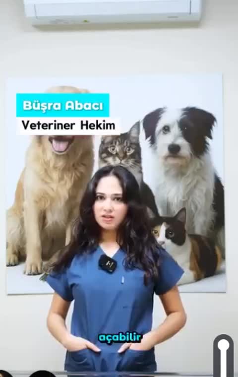 Büşra Abacı'nın stres paylaşımından bir kare